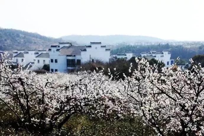 东方有线遥控器怎么配对电视机-专属交流平台